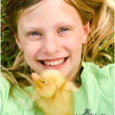 The Good Duck Shepherd-How Ducks Taught Me a Valuable Lesson About Trusting God